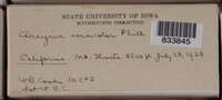 Image Associated With the Occurence